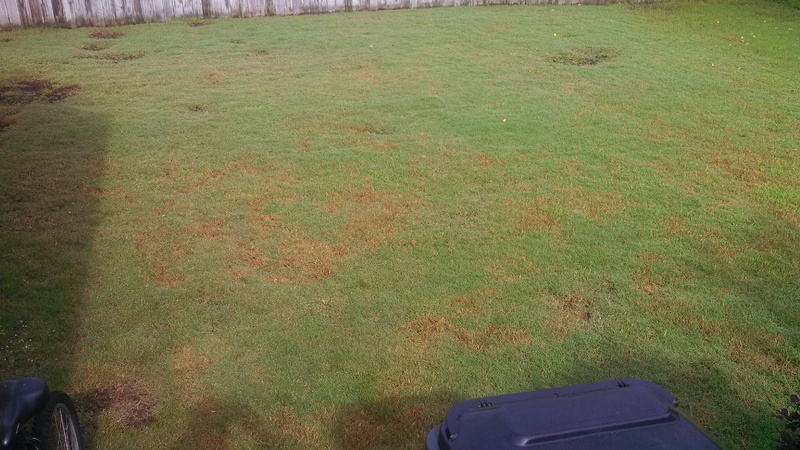 IMG_20140804_093543_208