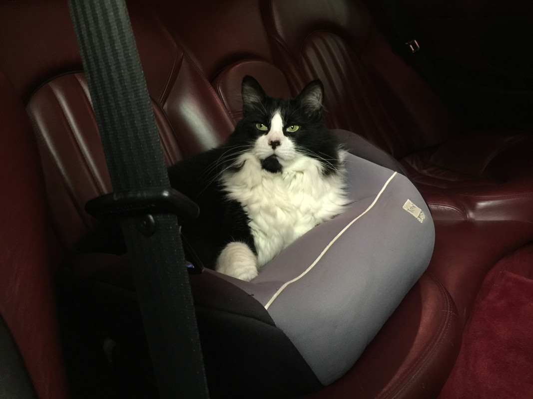 88A47110-4142-465F-8F43-0F71C90FA24B