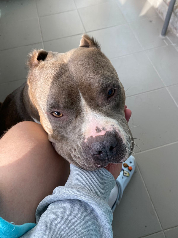 3F273F54-7992-4659-858D-05AF3B1C95E0