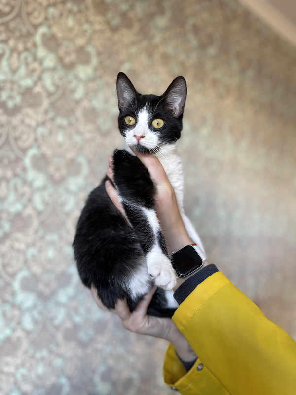 10D4C7F7-606D-4E2F-BAC7-488EB9AF2A46