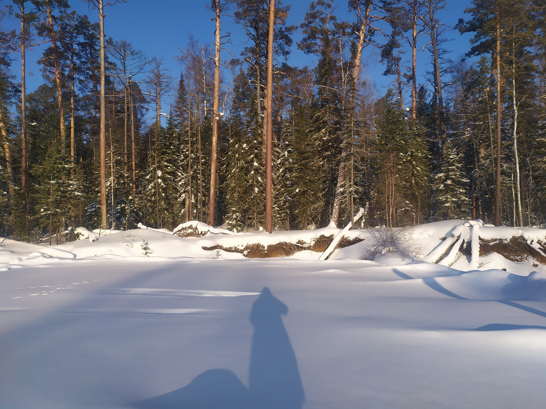 IMG_20240216_091601_1