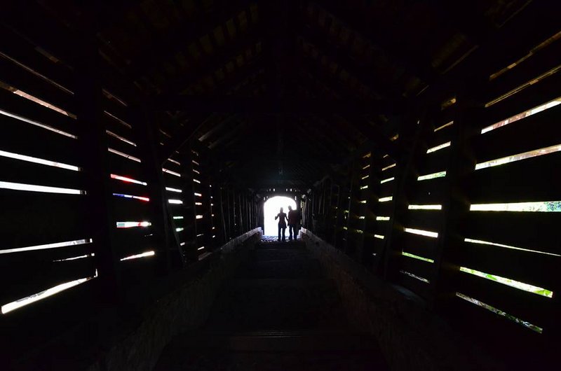 Rumanía y sus pueblos-2015 - Blogs de Rumania - Sighișoara-8-8-2015 (27)