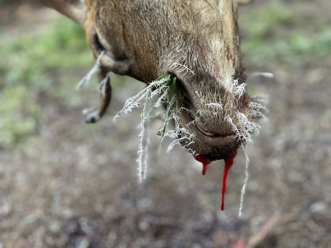 6B1560EA-3A7F-433B-8957-9B51B550F790