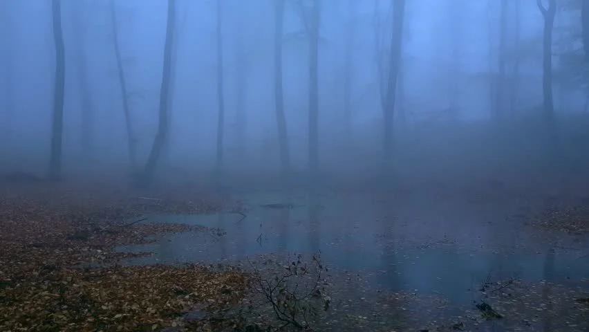 2-B3-BCB67-EC40-4-DC2-829-D-BB660-C2-C970-D