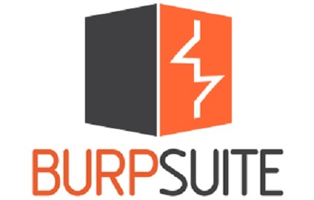 Burp Suite Professional 2022.11.4 (Win x64)