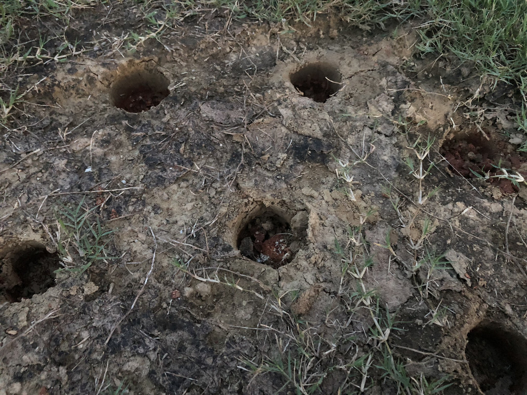 4A79D304-1185-417E-9BD0-074345005EA5