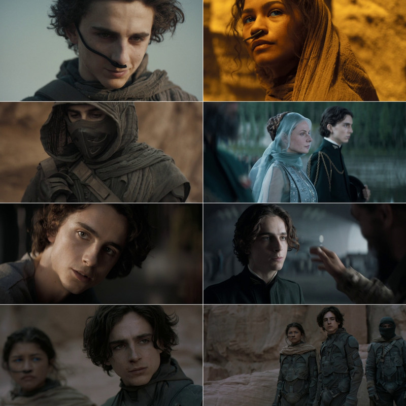 Dune Part One (2021) Dual Audio [Hindi - English] Full Movie BluRay ESub screenshot