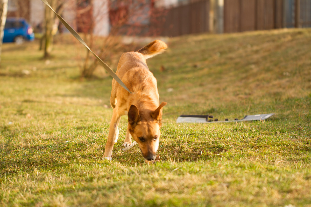 без имени-5370