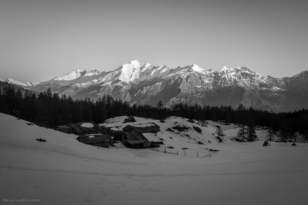 DSCF0830
