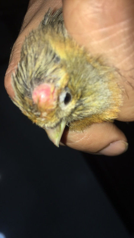 7B7573CA-DEC5-4DD8-87CC-55BCCFA79FA4