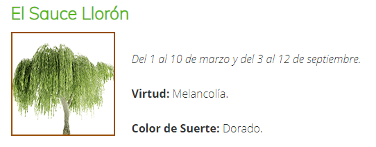 [Imagen: 20-El-Sauce-Llor-n.png]