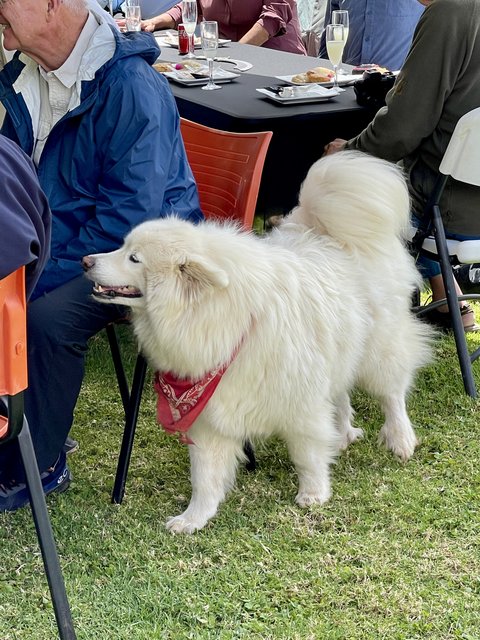 [Linked Image from i.postimg.cc]