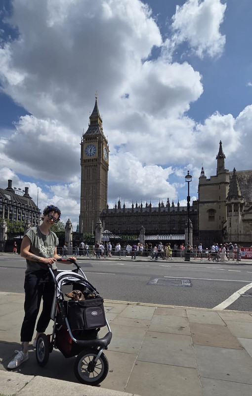 [Image: IMG-20250718-WA0008.jpg]