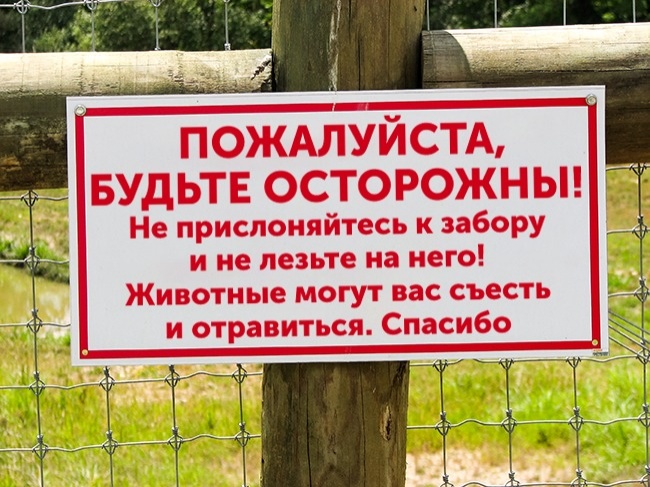 20 объявлений со всего мира, вызывающих недоумение и восторг одновременно