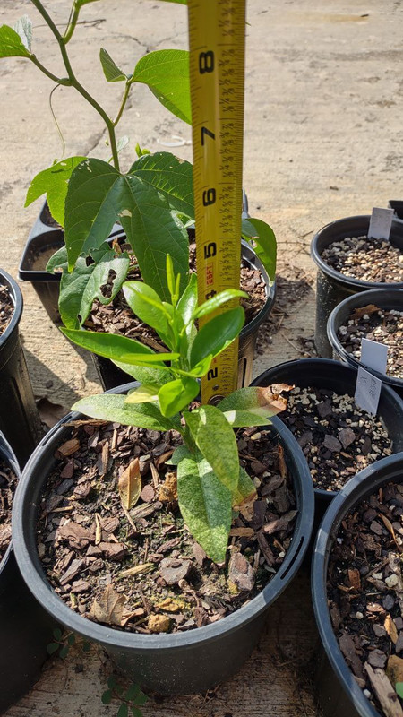 photo_2025-07-23_09-30-07 (2)