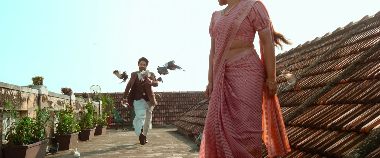 vlcsnap-2024-01-14-10h48m45s472