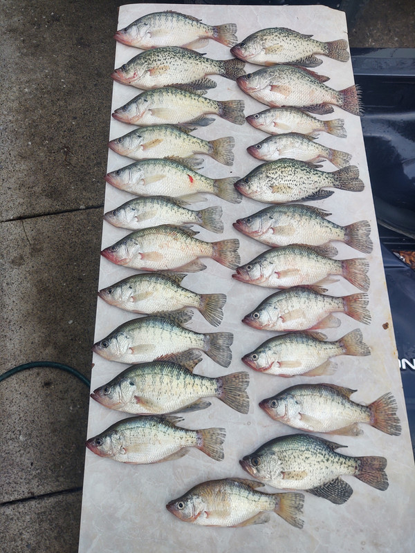 IMG_20200422_180826988_HDR