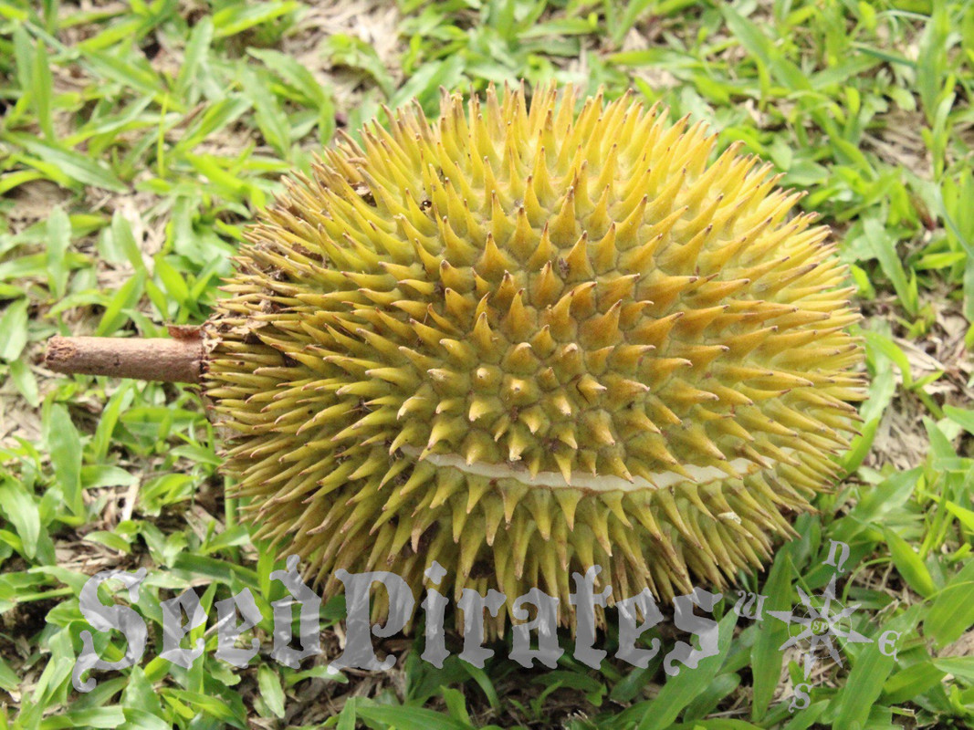 785BFCB8-7259-4CD8-9DA4-6E448AC97ED9