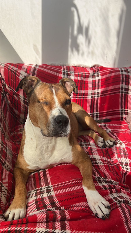 250B6C61-CB30-41B1-9E7A-76F0584C2B2F