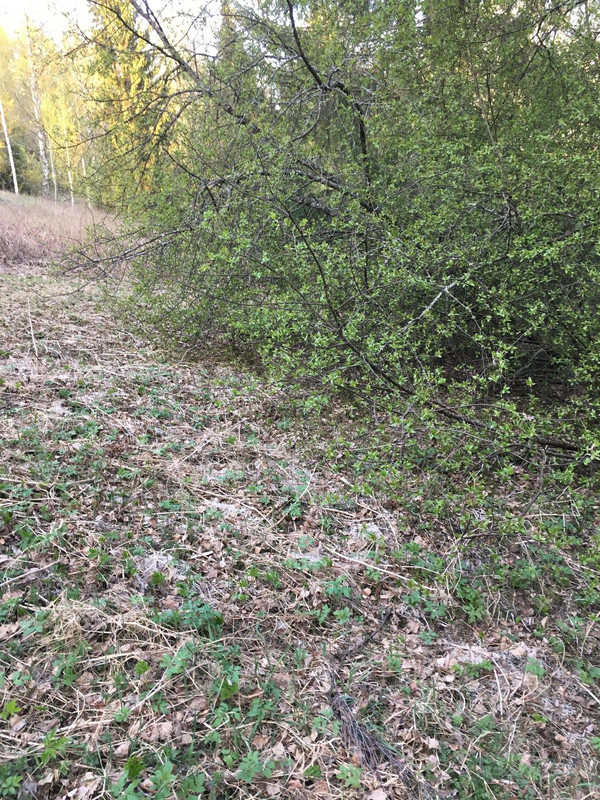 E27E9033-89C8-4141-B04A-5F102052EEE2