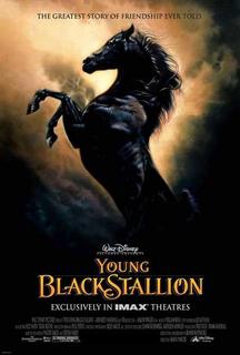 Young black stallion (2003).avi DvdRip AC3 iTA