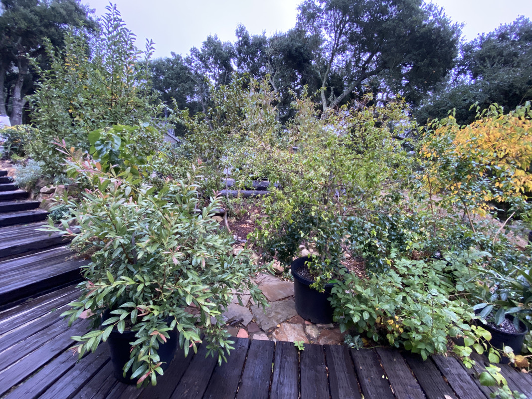 143686CF-9955-41E3-AE94-1719DD7531D0