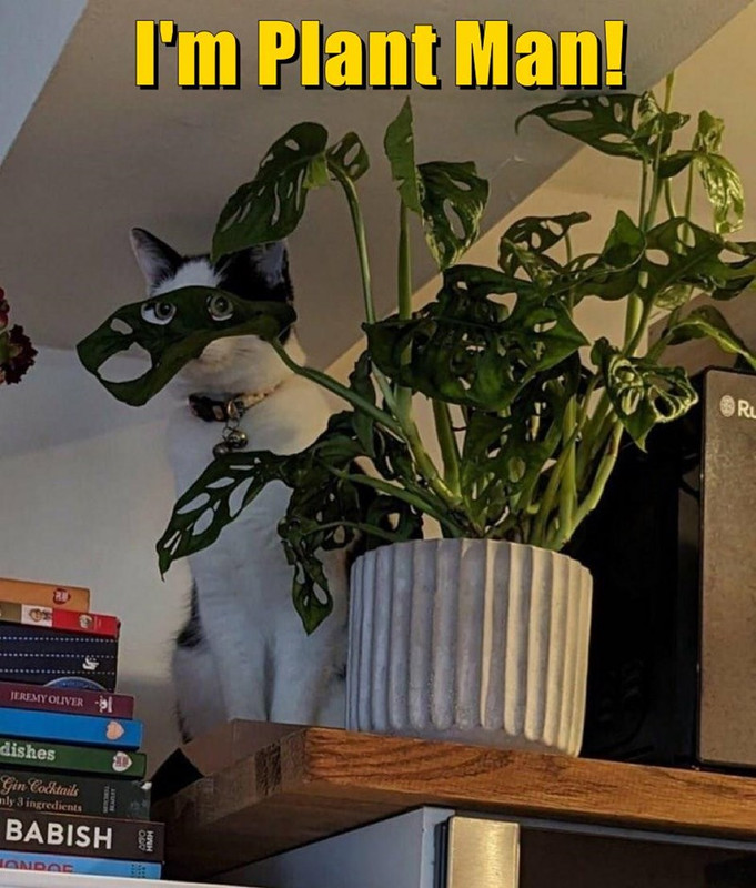my-people-need-me