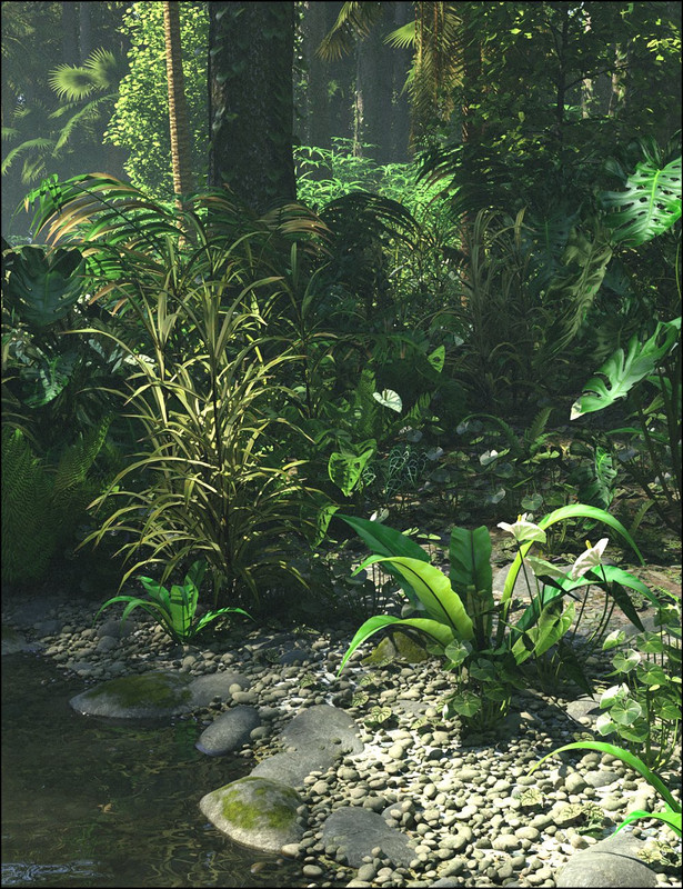 Tropical Botanica - Understorey
