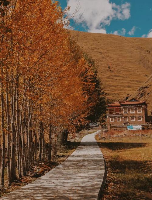 61edc1ef195ebc8c5afec7996a62e7ee