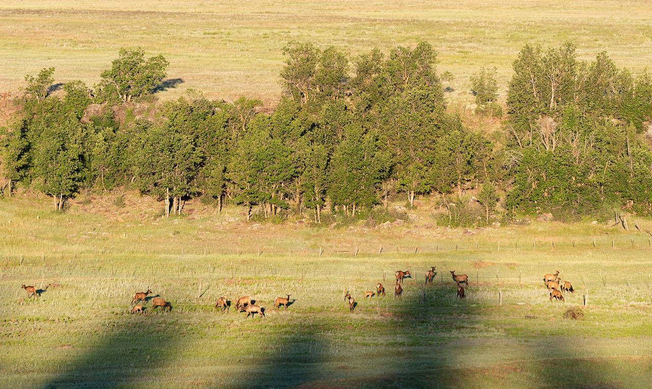 Ed1400-Mormon-Lake7-2-19-0088.jpg