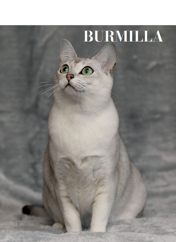 Argos Ago-Set 2023 (2)