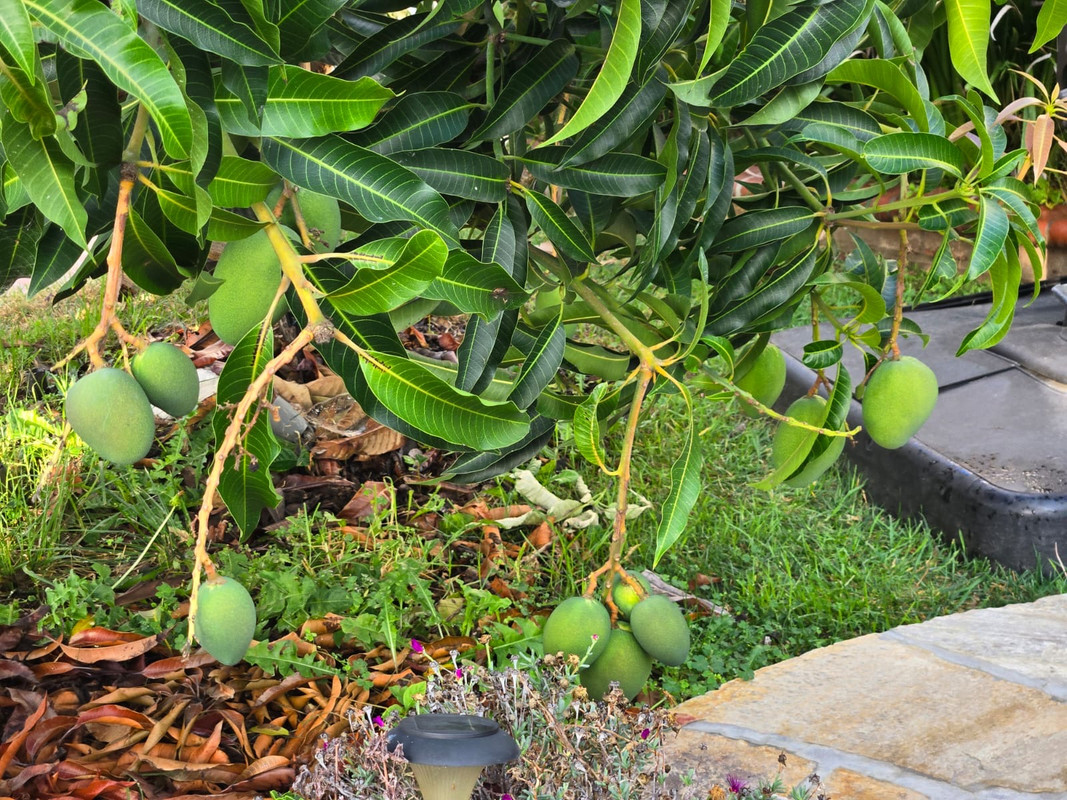 225b3c34-b871-43bd-85cc-945f418e69f2