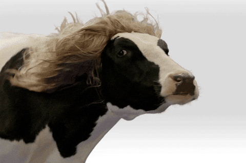 giphy-2024-08-31-T233842-076.gif