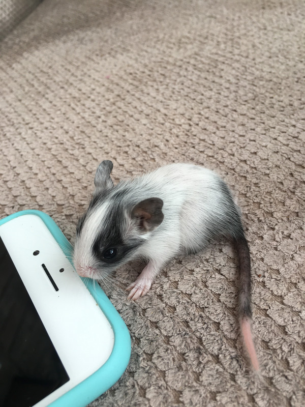 4698FE28-1259-4328-AE67-DD0EBFFCAAA2