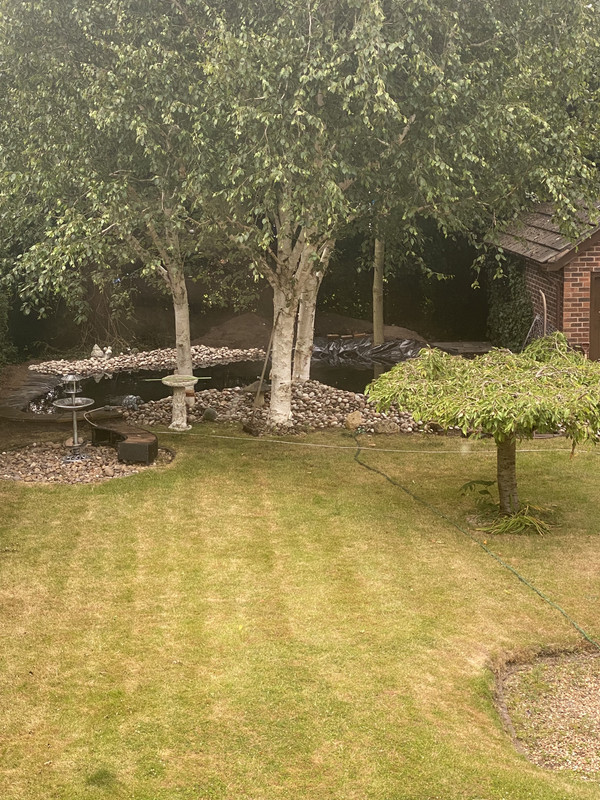 5886C640-BB98-4F95-84B7-BD9EFE21E346