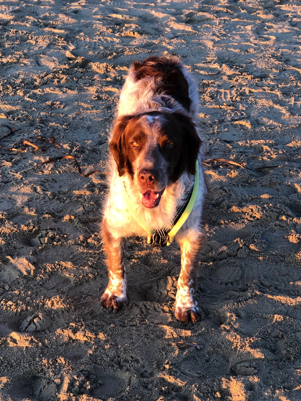 CCC06BAE-1C56-4FAE-8915-DE84F48CE69D