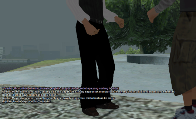 ss13.png