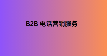 B2B 电话营销服务