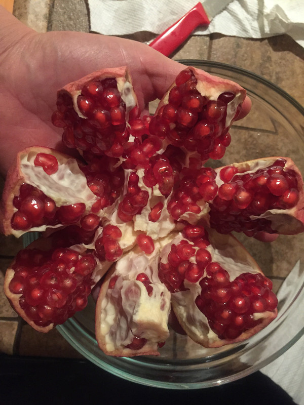 E7965ECE-AF76-42A0-9C52-268496CF9F7D