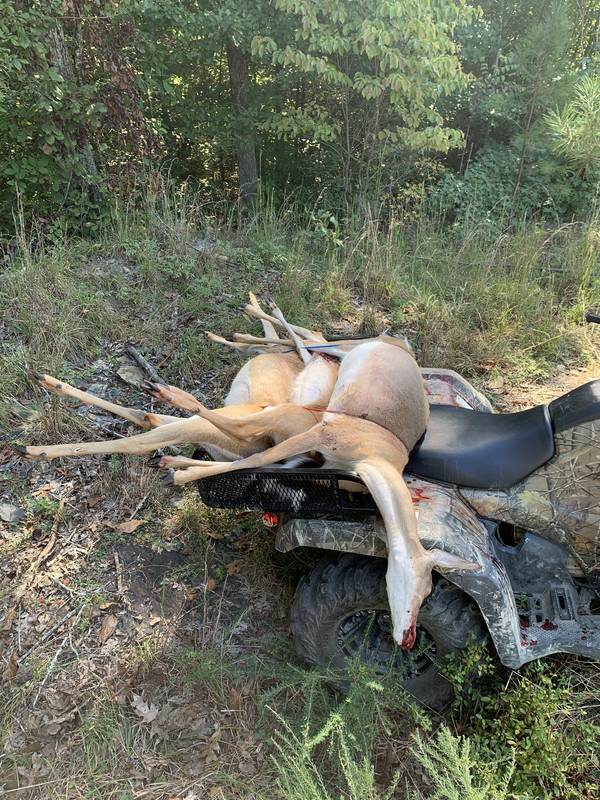 2E23F24D-65AF-44D3-9384-6FA7DDEE9D6D