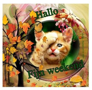 animaatjes-facebook-plaatjes-fijn-weekend-weekend-4235438