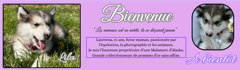 Capture-d-ecran-2026-05-13-215323.png
