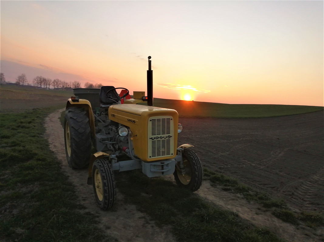 IMG_20200317_173922 (2)