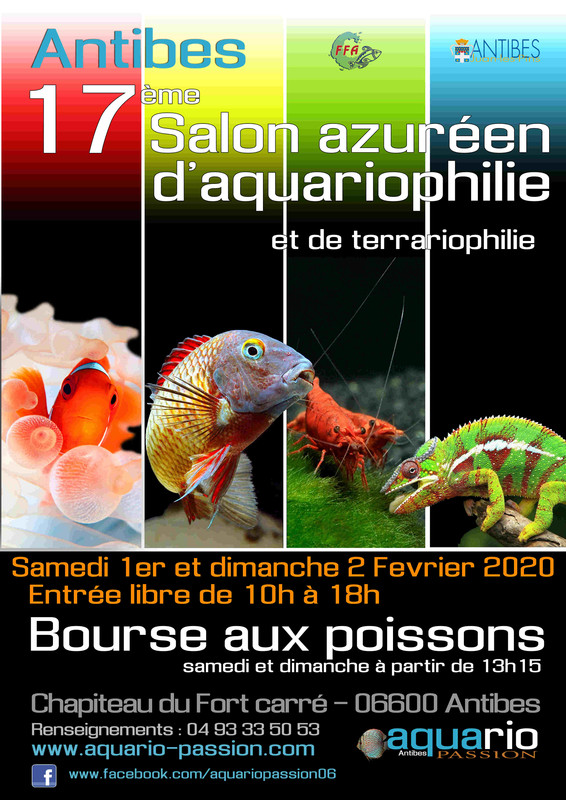 Affiche 2020 compressée