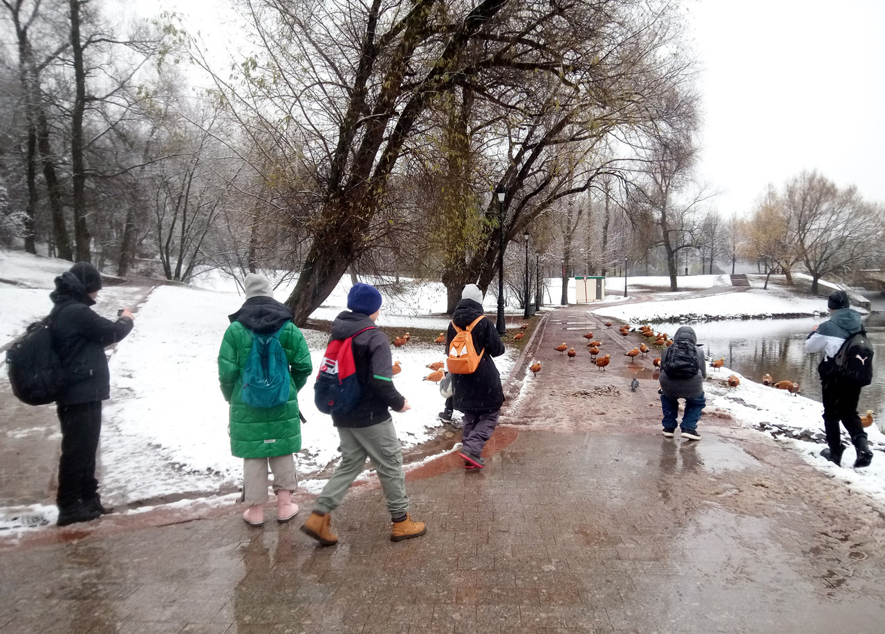 Царицыно (1)