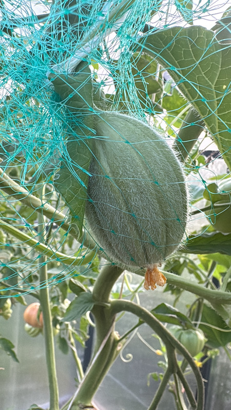 B284111D-1C5F-4C7A-B706-74A81D43A124