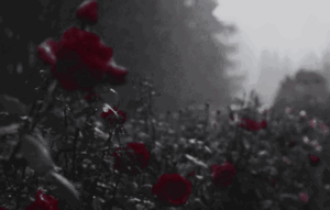 faeb16862f9b28897c00af4297e1a9eb-ezgif-com-resize-2.gif