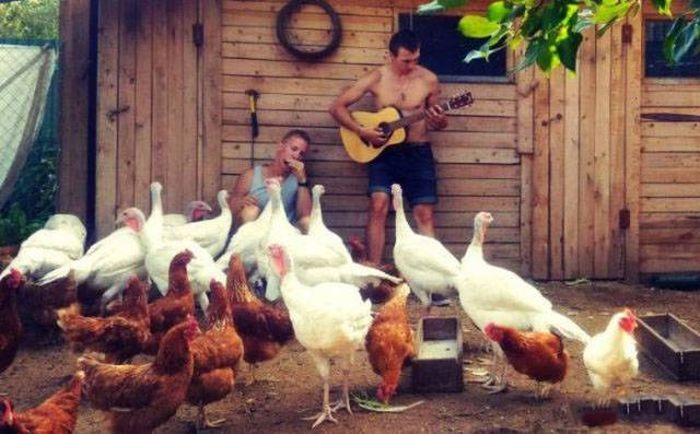 17 фотографий, происходящее на которых довольно сложно объяснить