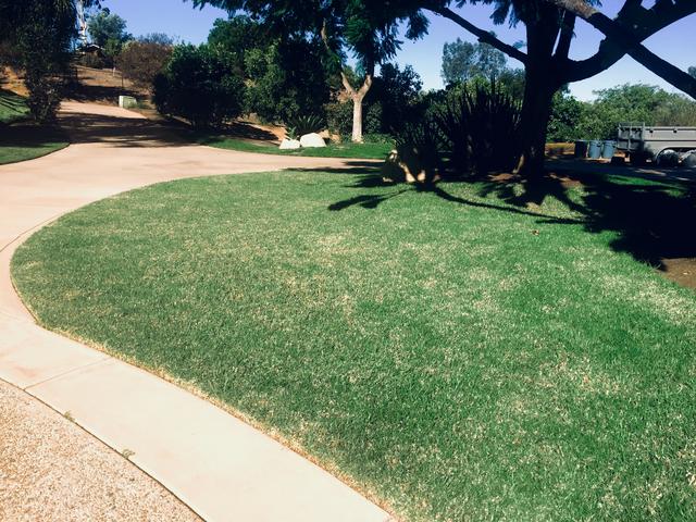 1A453E4F-EA61-41BC-B405-022634E0C4B9