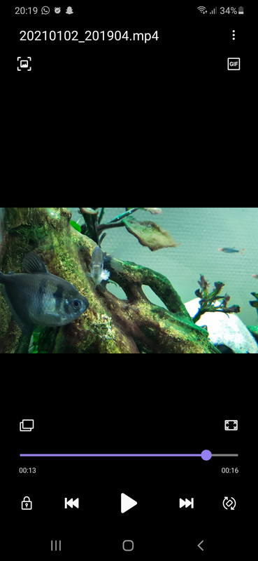 Screenshot_20210102-201949_Video Player